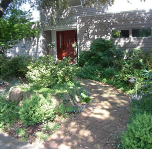 Shade Garden Serenity
